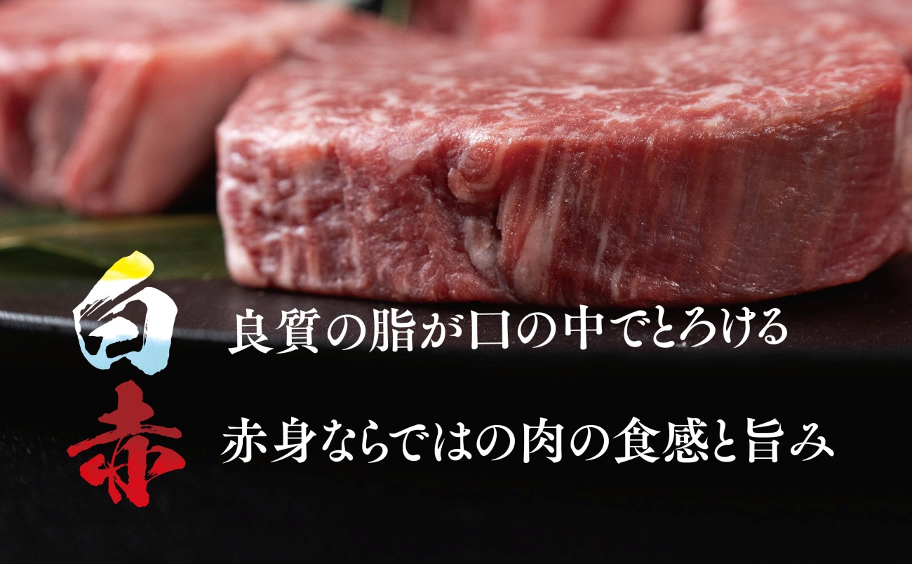 【将軍牛】特選ヒレステーキ 300g【配送不可地域：離島・北海道・沖縄県】【1653413】
