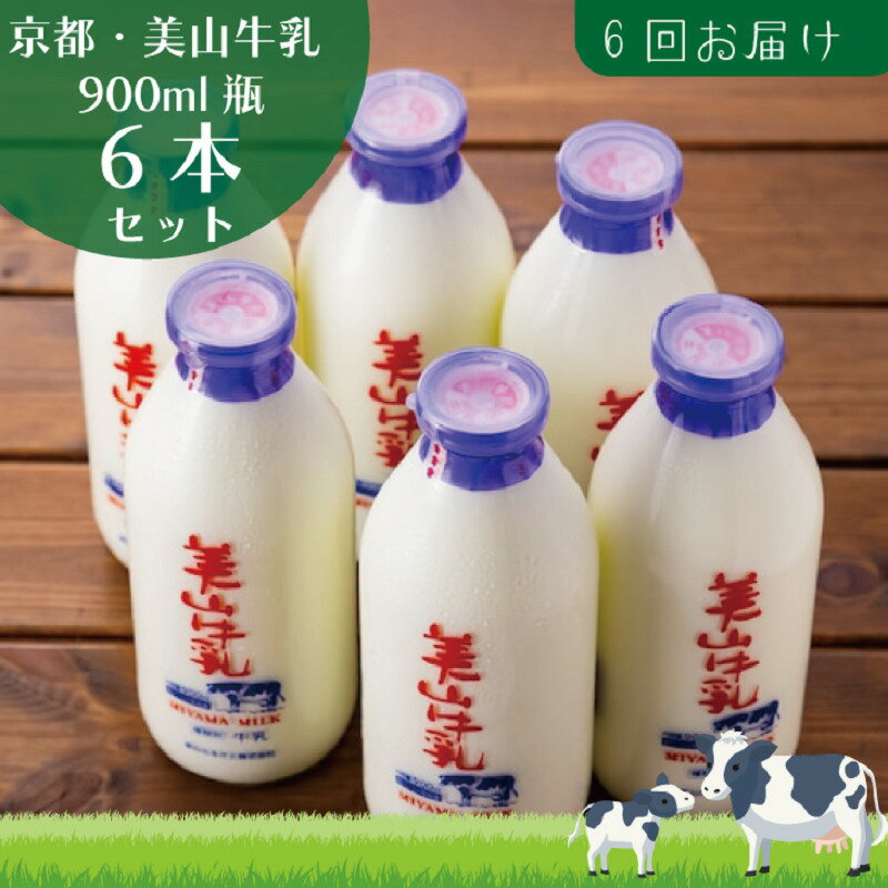 【ふるさと納税】牛乳 定期便 6ヶ月 京都 美山牛乳 瓶 900ml ×6本 セット 美山町 お取り寄せ 定期 お楽しみ 6回 ※北海道・沖縄・離島への発送不可　 南丹市