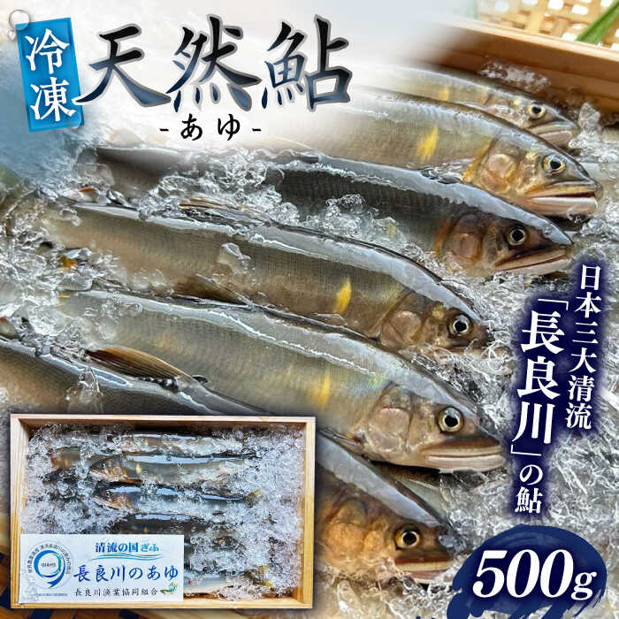 【ふるさと納税】天然鮎(冷凍) 500g ＼申し込みは9月30日まで／【世界農業遺産】清流長良川 8月〜9月申込 産地直送 新鮮 あゆ 岐阜市/SONAMU[ANEX001]