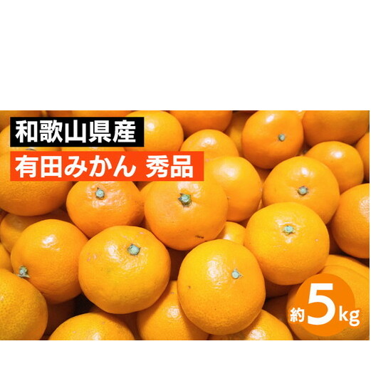 【先行予約】 有田みかん 秀品 約5kg サイズ混合 和歌山県産