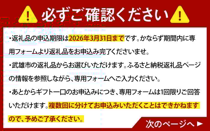 【あとから選べる】武雄市ふるさとギフト 寄附額30万円分 [UZZ009] あとから寄附 あとから寄付 選べるギフト あとからセ
