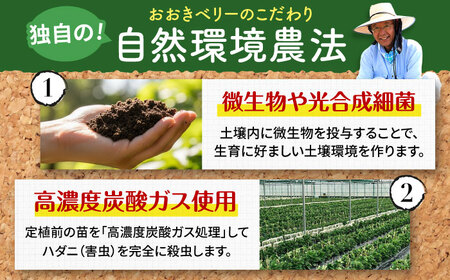 【2025年12月より発送】『自然環境農法』で育てた福岡県産 あまおう 約285g×2パック＜おおきベリー株式会社＞那珂川市[GZE007]