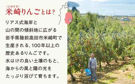 先行予約 りんご 2.5kg 【品種：ぐんま名月】 果物 フルーツ 訳あり 家庭用 米崎りんご