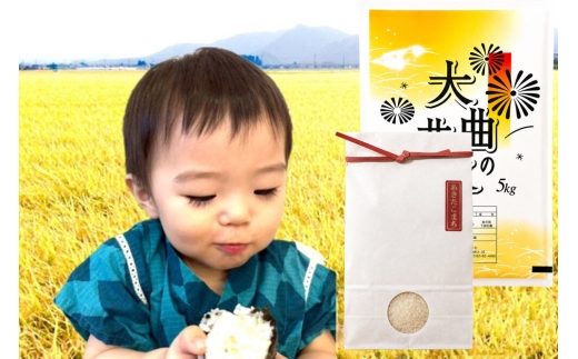 ＜令和8年産 新米受付＞《定期便7ヶ月》米 正男さんのあきたこまち【白米】5kg [先行予約 新米 米 お米 こめ 白米 精米 あきたこまち ブランド米 秋田県産]