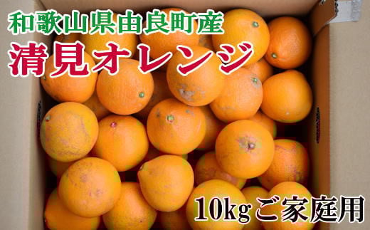 【訳あり・ご家庭用】和歌山由良町産の濃厚清見オレンジ約10kg　※2026年2月中旬～2026年2月下旬頃（お届け日指定不可）【tec877A】