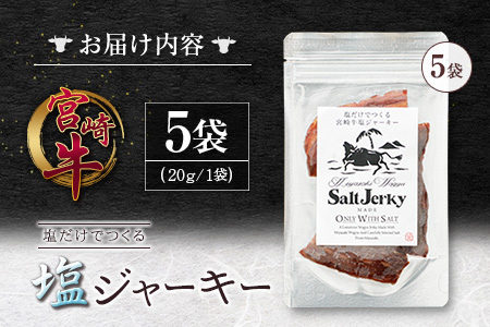 塩だけでつくる 宮崎牛 塩ジャーキー 5袋（20g×5袋）ブランド牛 ビーフジャーキー おつまみ 珍味 グルメ 干し肉 宮崎県産