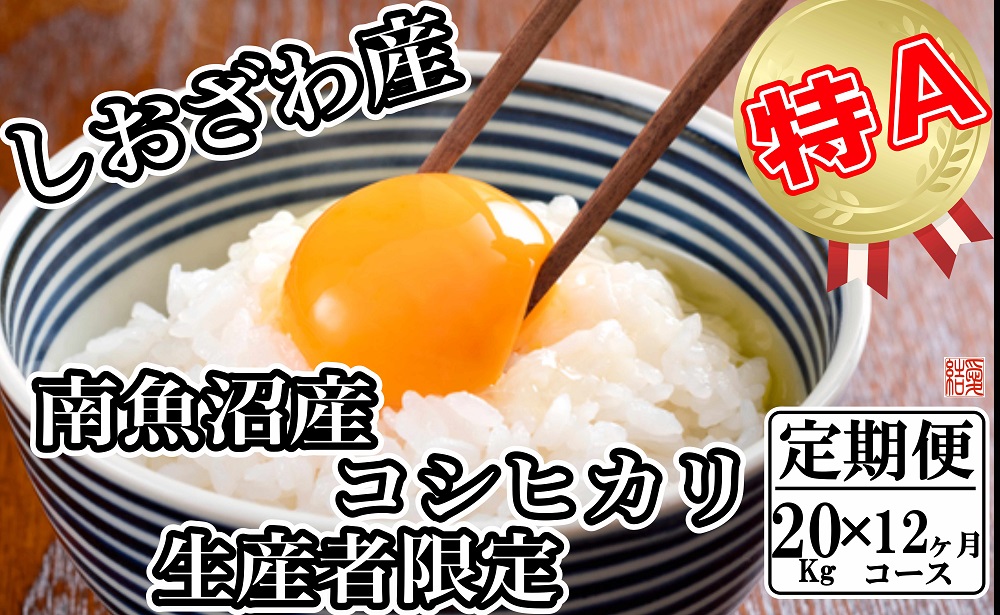 【令和7年産】【定期便／20kg×12ヶ月】生産者限定 契約栽培 南魚沼しおざわ産コシヒカリ【2025年10月上旬より順次発送予定】