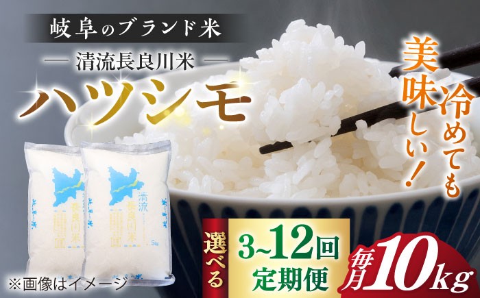 
                  【選べる定期便回数】【R7年産】岐阜 ハツシモ 10kg 名水 100選に選ばれた 長良川 中流の水で育った 「清流長良川米」 ハツシモ はしつも 長良川 清流米 すし飯  冷めても美味しい お米 米 こめ 白米 10kg 10キロ 定期便 岐阜市 / 森ライス [ANCU008]
                