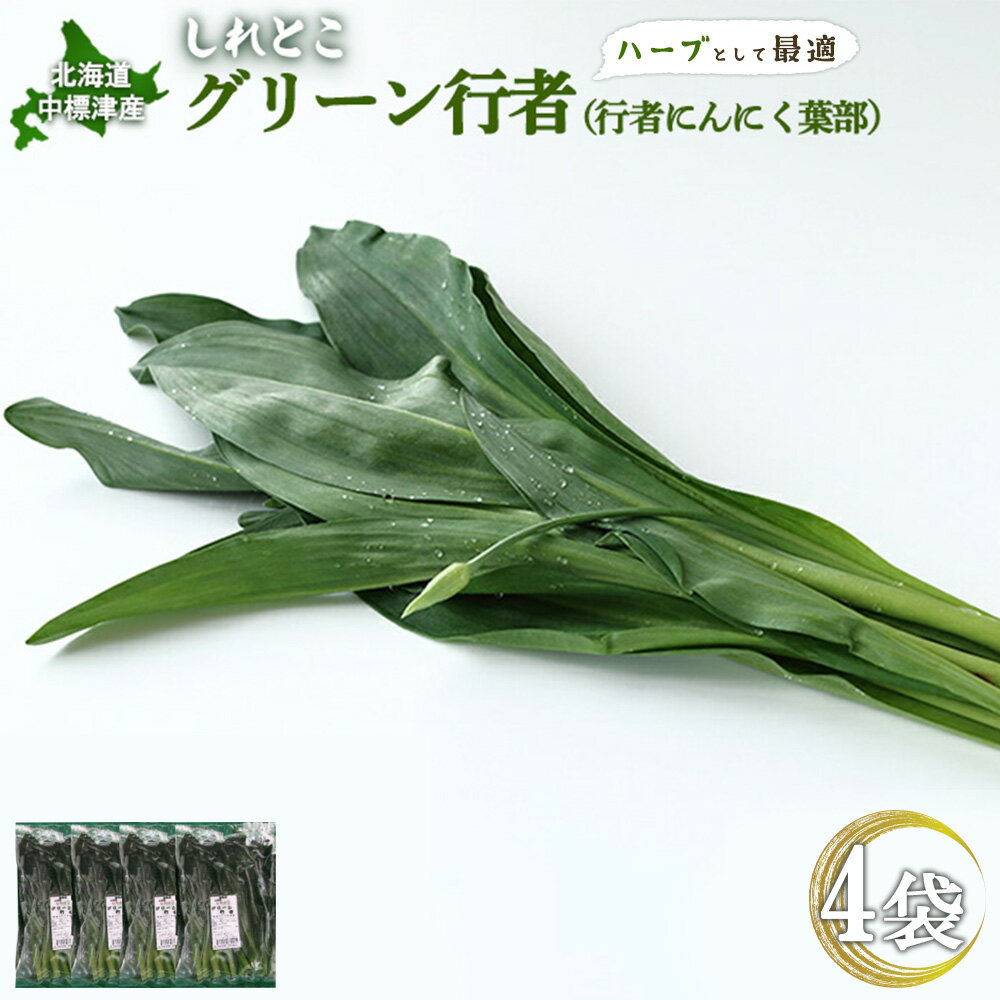【ふるさと納税】【ハーブとして最適】行者にんにくグリーン行者×4袋 （葉部） | オンライン 申請 ふるさと納税 北海道 中標津 ハーブ 香草 行者ニンニク にんにくの芽 山菜 ダイエット効果 焼肉 卵とじ トッピング おひたし お取り寄せ 北海道 中標津町 中標津【20020】