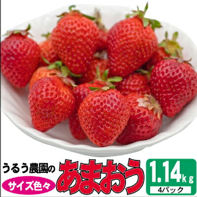 【ふるさと納税】いちご 2027年2月より発送 うるう農園のあまおう サイズ色々4パック 約1.14kg 果物 フルーツ デザート 食後 特別栽培 福岡県産 国産 日本産 ※配送不可：離島　お届け：2027年2月中旬～3月末