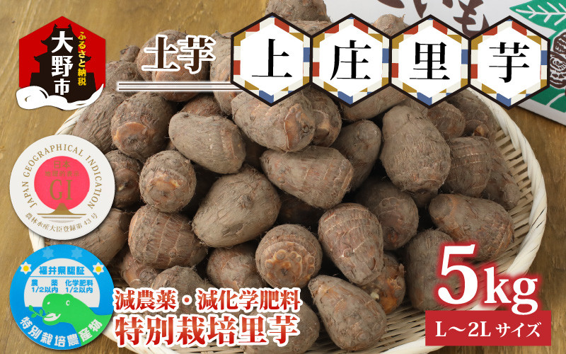 
【年内発送】減農薬・減化学肥料の特別栽培里芋上庄里芋 土芋5kg
