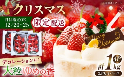 【12月25日お届け クリスマス用】＜大粒＞いちご ゆめの香 約1kg（250g×4パック）長崎県/わたる農園 [42AABB006] 苺 イチゴ フルーツ 果物 ケーキ デコレーション 手作り XMAS トッピング