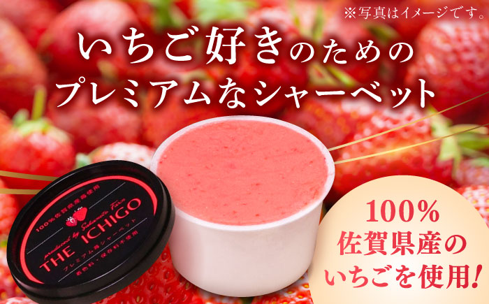 【先行予約】苺そのままの甘酸っぱさ！THE ICHIGO  プレミアム苺シャーベット 計8個 / いちご イチゴ アイス デザート / 佐賀県 / さかもとさんの畑[41ABAA019]