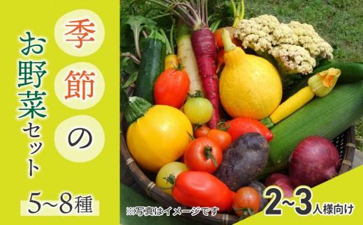 
                  季節のお野菜セット（２〜３人様向け）｜５〜８種類の野菜詰め合わせ【アグロノーム】
                
