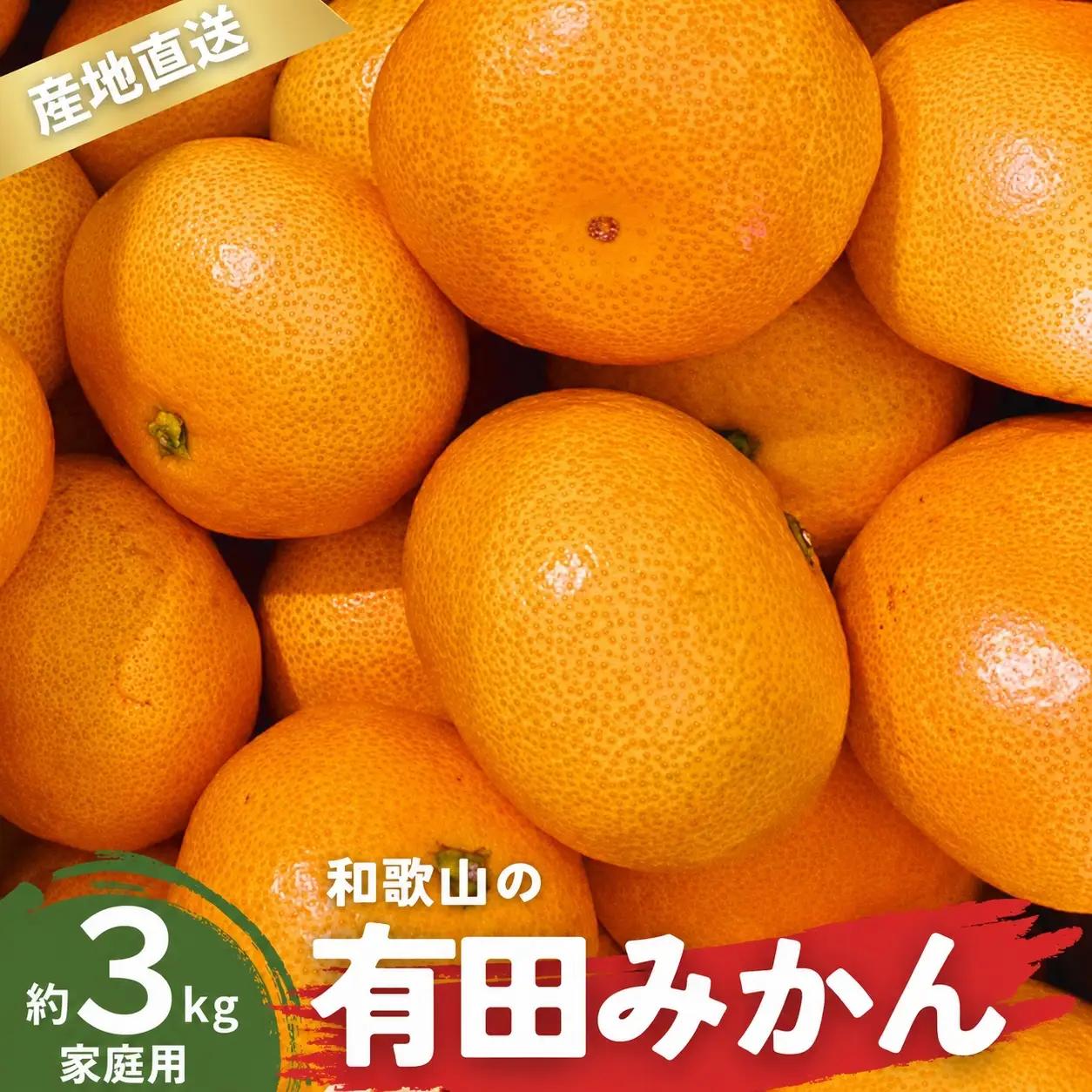 【1月発送】家庭用 有田みかん 和歌山 訳あり わけあり S～Lサイズ 大きさお任せ 3kg / みかん フルーツ 果物 くだもの 有田みかん 蜜柑 柑橘【ktn006B-1】