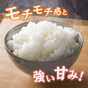 【先行予約】【6ヶ月連続お届け】【 令和8年産 新米 】減農薬・化学肥料不使用 ゆうだい21 5kg×1袋（計5kg）【2026年10月より順次発送】 | お米 定期便 ごはん 国産
