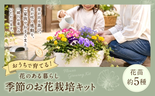 おうちで育てる花のある暮らし 季節のお花栽培キット （ 花苗 約5種 ） 栽培キット 栽培 花 お花 はな フラワー 種 苗 ガーデニング 園芸 家庭菜園 ベランダ 趣味
