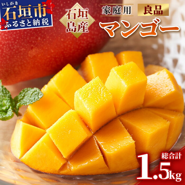 【ふるさと納税】＜先行予約＞石垣島産マンゴー (アーウィン種) 約1.5kg (2~5玉) 家庭用 ＜2026年6月順次発送＞ | ふるさと納税 訳あり 良品 家庭用 マンゴー フルーツ 果物 アップルマンゴー アーウィン種 JAおきなわ 沖縄県 石垣市 ふるさと 人気 送料無料 AE-11
