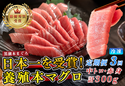 【定期便】黒潮本マグロ 中トロ・赤身　計3回