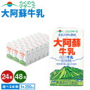 【ふるさと納税】 牛乳 大阿蘇牛乳 24本 もしくは 48本 1ケース（250ml×24本入） 成分無調整牛乳 生乳100%使用 乳飲料 乳性飲料 らくのうマザーズ ドリンク 飲み物 飲料 セット 紙パック 常温保存可能 ロングライフ 送料無料