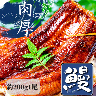 
熟練された職人が作る「炭火焼き　国産うなぎ蒲焼」大サイズ約200g×1尾【1378497】
