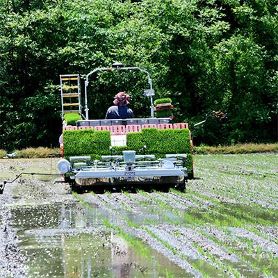 ふるさと納税 小国町 【農家直送】新嘗祭献穀農家の米『つや姫』令和5年産　10kg |  | 03