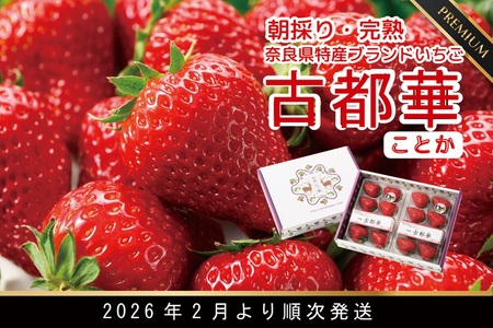 先行予約 数量限定 朝採り 古都華 完熟 2月より順次発送奈良県特産 朝採り高級ブランドいちご「古都華」 // いちご イチゴ 古都華 フルーツ 果物 旬 限定 ブランド 朝採り 完熟 いちご ことか イチゴ 先行予約 古都華 数量限定 古都華 甘い 先行受付 予約 贈答用 ギフト 化粧箱