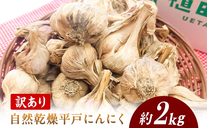にんにく 高知県産 乾燥 ガーリック 薬味 お取り寄せ 訳あり 先行予約