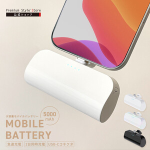 【オーロラ】パススルー充電可能 USB Type-C 直挿し モバイルバッテリー 5000mAh Power Delivery 20W PG-LB50C AOS0005VC03