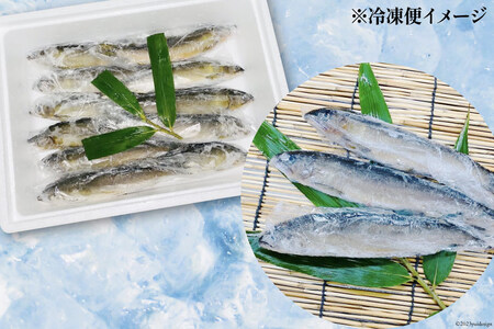鮎 冷凍 こだわりの鮎 約1kg あゆ [452060794]