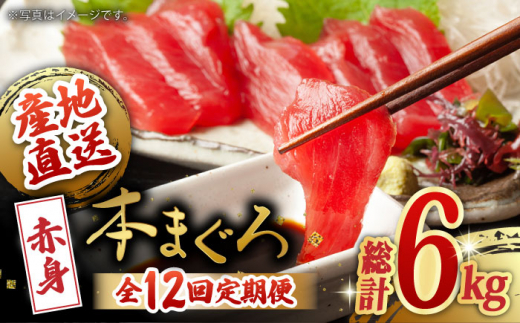 
【全12回定期便(月1回)】長崎県産 本マグロ 赤身 500g まぐろ 鮪 さしみ 刺身 刺し身 冷凍 東彼杵町/大村湾漁業協同組合 [BAK024]
