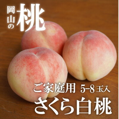 【ふるさと納税】【2026年先行予約】しっかりめの肉質と甘さが絶品「さくら白桃」ご家庭用 5-8玉入(岡山県産)_ 桃 白桃 もも モモ 甘い 果物 くだもの フルーツ 岡山県 津山市 家庭用 自宅用 産直 産地直送 送料無料 【配送不可地域：離島】【1571615】