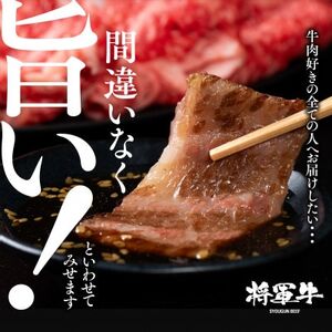 【将軍牛】特選焼肉セット ロース カルビ もも 3種類 1kg【配送不可地域：離島】【1652120】