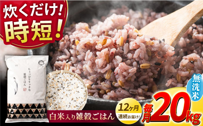【全12回定期便】水研ぎ不要 雑穀ごはん 無洗米 20?s 【有限会社 農産ベストパートナー】 [ZBP156]