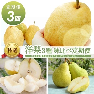 SE0510　【3回定期便】庄内産 洋梨3種味比べ定期便2026 (洋梨〔品種おまかせ〕 、ラ・フランス、シルバーベル/各約3kg)