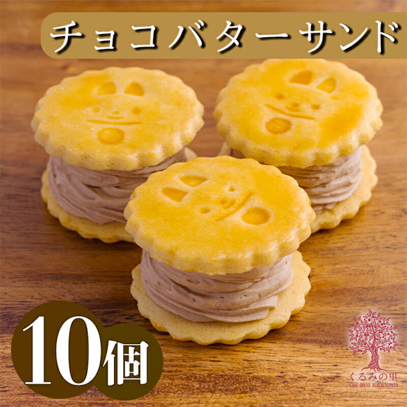 【ふるさと納税】宮崎県 『生チョコバターサンド 10個入り』 1か月以内にお届け サクサクビスケット生地に生チョコを練りこんだバタークリームをサンド 送料無料 ケーキハウスくるみの里 満足サイズ チョコが香る ギフト アフタヌーンティー 高原町 12000円