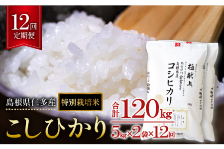 【産先行予約】島根県仁多産コシヒカリ特別栽培米10㎏定期便12回【新米 2025年度産 令和7年度産 コシヒカリ こしひかり 定期便 12回 米 お米 10kg 白米 精米 小分け 便利 特別栽培米 ブランド米】