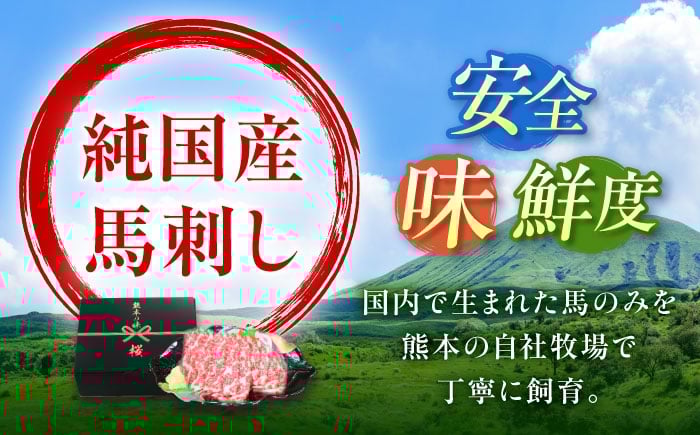 純国産 熊本馬刺し 霜降り馬刺し「特選」 計約300g