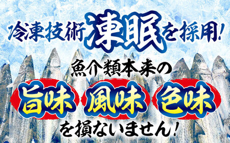 ふっくら香ばしい！鰆の炙り 満腹 セット さわら サワラ 魚 料理 和食 簡単 レシピ 魚介類 海産物 海鮮 刺身 ギフト 江田島市/秋宝丸[XCK003]