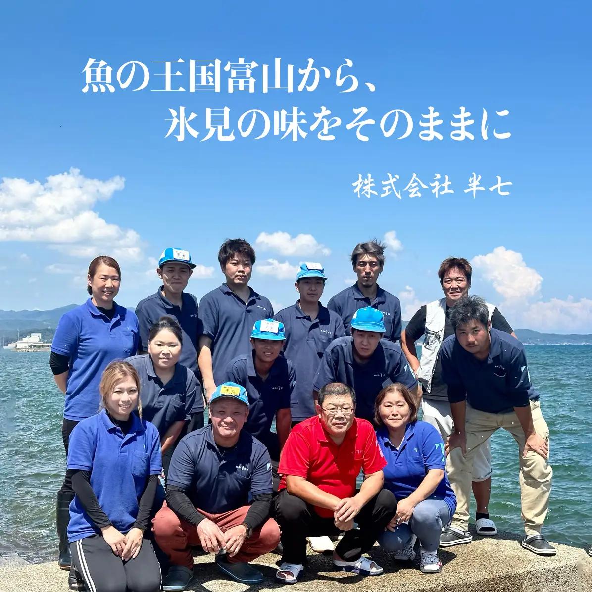 【隔月3回定期便】厳選！半七のおまかせ干物 詰め合わせセット（７種） 富山県 氷見市 干物 おかず