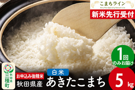 《新米先行受付》【白米】あきたこまち 5kg 秋田県産 令和6年産  こまちライン