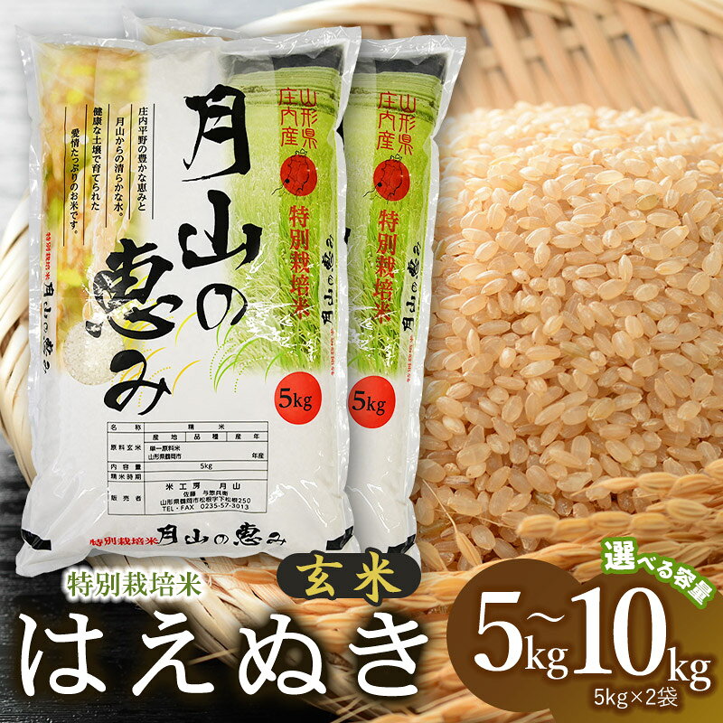 【ふるさと納税】令和8年産 新米 特別栽培米 はえぬき 玄米 【選べる容量：5kg(5kg×1袋)／10kg (5kg×2袋)】 2026年 米工房 月山の「月山の恵み」 | 山形県 鶴岡市 ブランド米 お取り寄せ お米 おこめ 特栽 コメ10キロ こめ 美味しい 鶴岡産 単一原料米