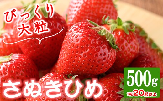 ＜期間限定！2026年3月下旬以降順次発送予定＞＜選べる容量＞大粒！香川県産 さぬきひめいちご(約500g・1粒20g以上) 【man104・man105】【Aglio nero】