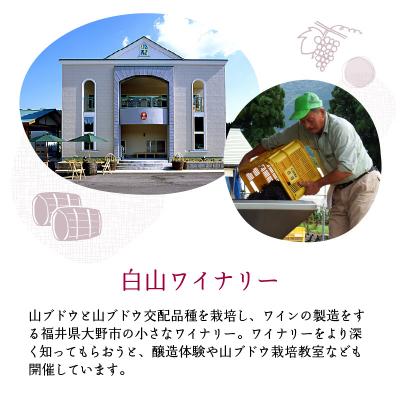 ふるさと納税 大野市 Andosols赤ワイン&恐竜ワインセット |  | 02