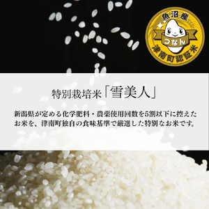 【6ヶ月定期便】魚沼産コシヒカリ 特別栽培 雪美人 10kg（5kg×2袋）| 津南町 魚沼 令和8年