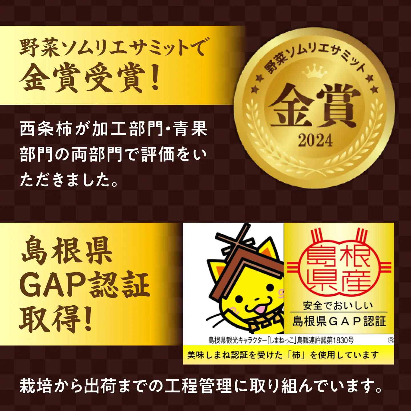 【先行予約】プレミアム干し柿 一珠 西条柿 熟成 [ALCM023]