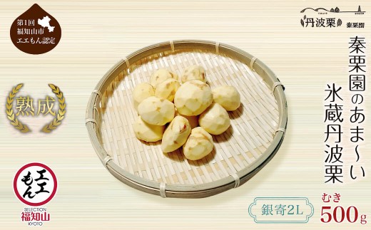 ＜先行予約受付中！2026年11月中旬以降順次発送予定！＞秦栗園のあま～い氷蔵丹波栗むき栗(銀寄・2L・500g) 【fc-AC003-B】【秦栗園】
