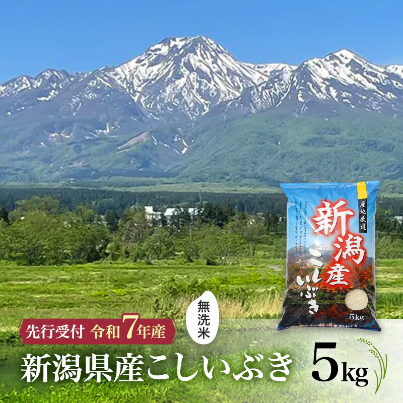 【ふるさと納税】【先行予約 令和7年産 | 無洗米 こしいぶき】10月中旬より順次発送　無洗米　新潟県産こしいぶき 5kg 上越市 米 こめ コメ お取り寄せ　お届け：2025年10月中旬～12月下旬まで