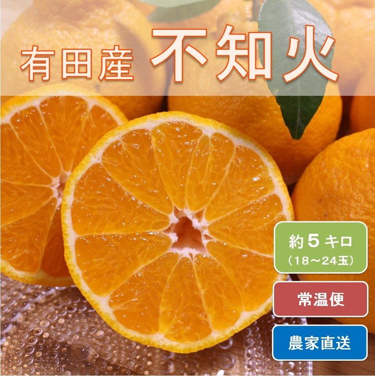 和歌山県有田産 不知火 約5kg（18～24玉）ひとつひとつ手選別で厳選！生産者から直送 ※2026年2月中旬頃より順次発送予定