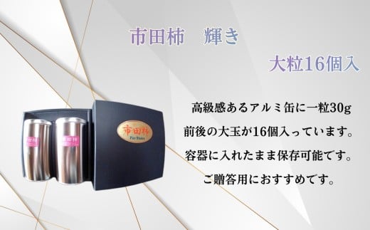 市田柿 輝き 8個入×2缶 | 果物 くだもの フルーツ 市田柿 柿 干し柿 贈答用 プレゼント 贈り物 長野県 飯田市